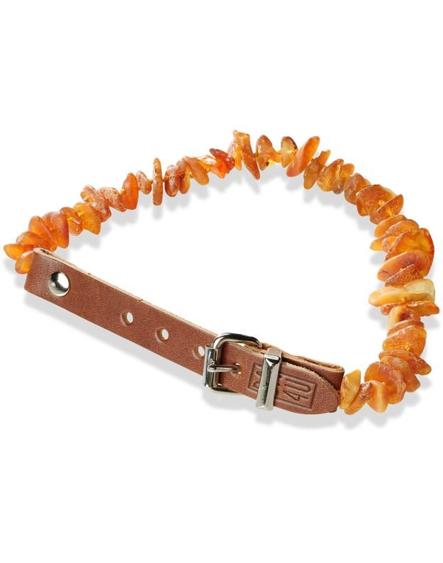 LC series: Baltic Amber collars with leather fixings