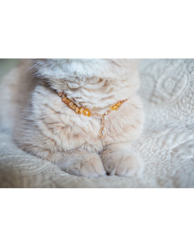 SC CRYSTAL GOLDEN SHADOW series: Baltic Amber collar with CRYSTAL GOLDEN SHADOW Swarovski crystal